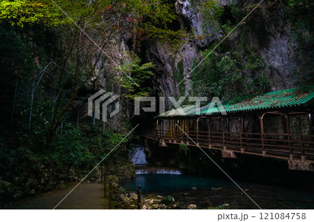 夜の秋芳洞 121084758