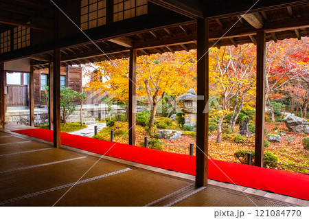 【京都風景】圓光寺 絶景の紅葉に思わず息をのむ美しさ 【京都風景】圓光寺 絶景の紅葉に思わず息をのむ美しさ 121084770
