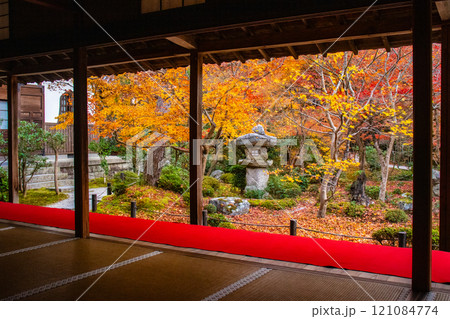 【京都風景】圓光寺　絶景の紅葉に思わず息をのむ美しさ 121084774