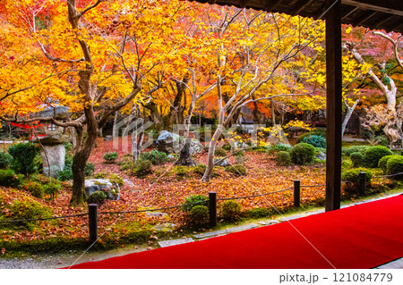 【京都風景】圓光寺　絶景の紅葉に思わず息をのむ美しさ 121084779