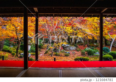 【京都風景】圓光寺　絶景の紅葉に思わず息をのむ美しさ 121084781
