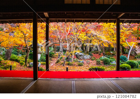 【京都風景】圓光寺　絶景の紅葉に思わず息をのむ美しさ 121084782