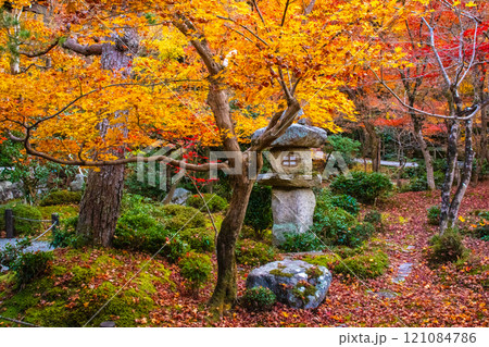 【京都風景】圓光寺 絶景の紅葉に思わず息をのむ美しさ 【京都風景】圓光寺 絶景の紅葉に思わず息をのむ美しさ 121084786