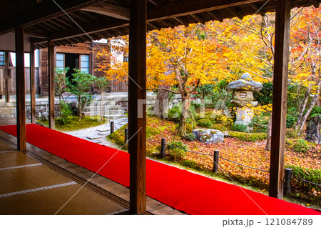 【京都風景】圓光寺 絶景の紅葉に思わず息をのむ美しさ 【京都風景】圓光寺 絶景の紅葉に思わず息をのむ美しさ 121084789
