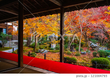 【京都風景】圓光寺 絶景の紅葉に思わず息をのむ美しさ 【京都風景】圓光寺 絶景の紅葉に思わず息をのむ美しさ 121084793