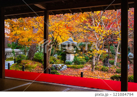 【京都風景】圓光寺　絶景の紅葉に思わず息をのむ美しさ 121084794
