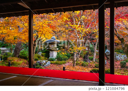 【京都風景】圓光寺 絶景の紅葉に思わず息をのむ美しさ 【京都風景】圓光寺 絶景の紅葉に思わず息をのむ美しさ 121084796