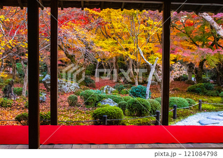 【京都風景】圓光寺 絶景の紅葉に思わず息をのむ美しさ 【京都風景】圓光寺 絶景の紅葉に思わず息をのむ美しさ 121084798