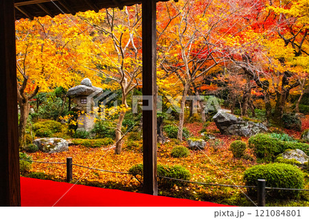【京都風景】圓光寺　絶景の紅葉に思わず息をのむ美しさ 121084801