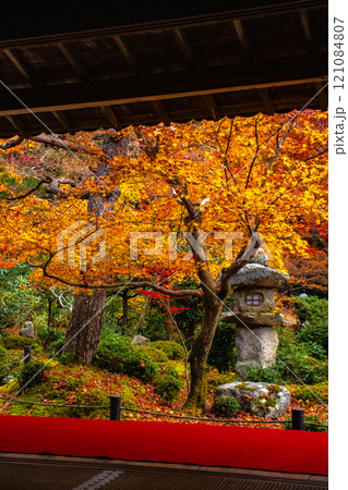 【京都風景】圓光寺　絶景の紅葉に思わず息をのむ美しさ 121084807