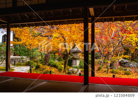 【京都風景】圓光寺　絶景の紅葉に思わず息をのむ美しさ 121084809