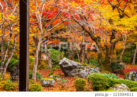 【京都風景】圓光寺　絶景の紅葉に思わず息をのむ美しさ 121084811