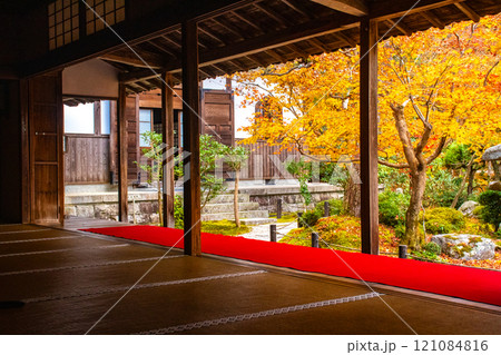 【京都風景】圓光寺　絶景の紅葉に思わず息をのむ美しさ 121084816