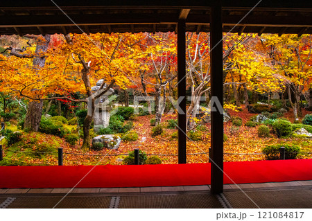 【京都風景】圓光寺　絶景の紅葉に思わず息をのむ美しさ 121084817