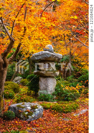 【京都風景】圓光寺 絶景の紅葉に思わず息をのむ美しさ 【京都風景】圓光寺 絶景の紅葉に思わず息をのむ美しさ 121084824