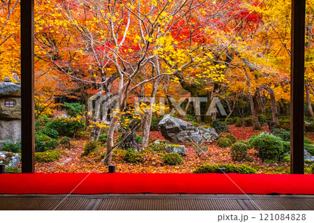 【京都風景】圓光寺 絶景の紅葉に思わず息をのむ美しさ 【京都風景】圓光寺 絶景の紅葉に思わず息をのむ美しさ 121084828