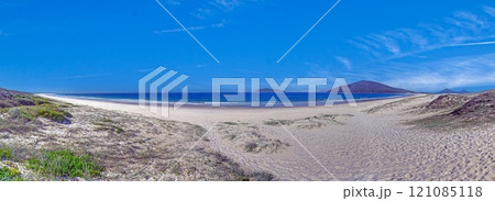Golden Coast beach panorama with expansive sandy shore and ocean waves 121085118
