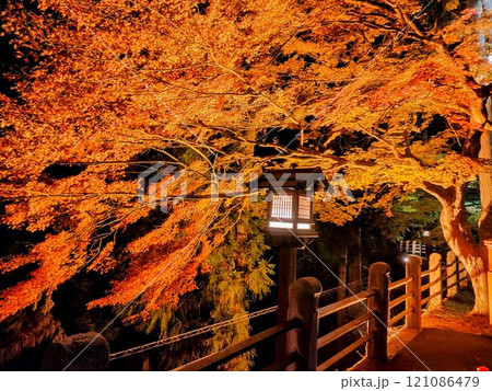 夜の下呂温泉の紅葉 121086479