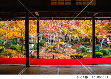 【京都風景】圓光寺 絶景の紅葉に思わず息をのむ美しさ 【京都風景】圓光寺 絶景の紅葉に思わず息をのむ美しさ 121086571