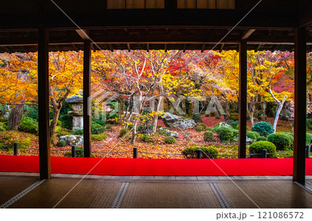 【京都風景】圓光寺 絶景の紅葉に思わず息をのむ美しさ 【京都風景】圓光寺 絶景の紅葉に思わず息をのむ美しさ 121086572