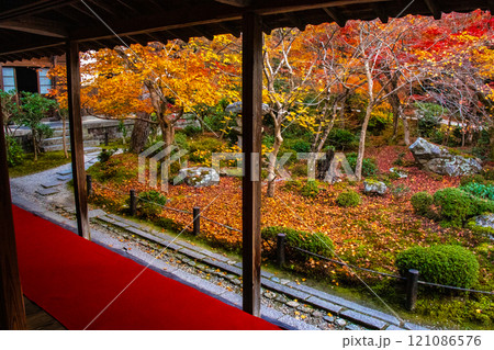 【京都風景】圓光寺 絶景の紅葉に思わず息をのむ美しさ 【京都風景】圓光寺 絶景の紅葉に思わず息をのむ美しさ 121086576
