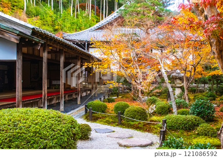 【京都風景】圓光寺 絶景の紅葉に思わず息をのむ美しさ 【京都風景】圓光寺 絶景の紅葉に思わず息をのむ美しさ 121086592