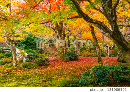 【京都風景】圓光寺 絶景の紅葉に思わず息をのむ美しさ 【京都風景】圓光寺 絶景の紅葉に思わず息をのむ美しさ 121086593