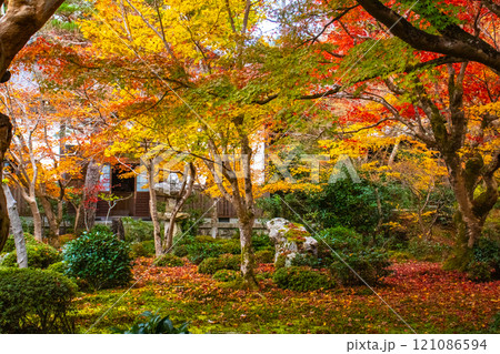 【京都風景】圓光寺　絶景の紅葉に思わず息をのむ美しさ 121086594