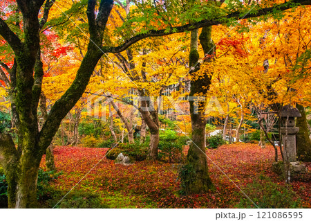 【京都風景】圓光寺 絶景の紅葉に思わず息をのむ美しさ 【京都風景】圓光寺 絶景の紅葉に思わず息をのむ美しさ 121086595