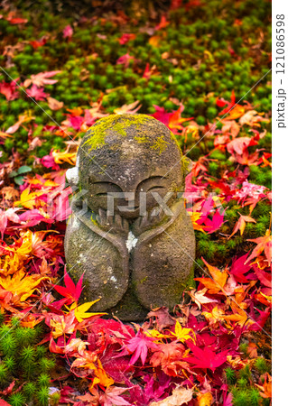 【京都風景】圓光寺　絶景の紅葉に思わず息をのむ美しさ 121086598