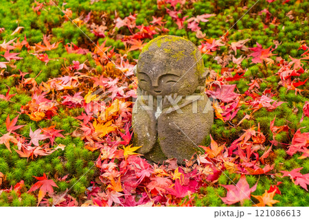 【京都風景】圓光寺　絶景の紅葉に思わず息をのむ美しさ 121086613