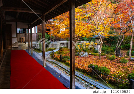 【京都風景】圓光寺　絶景の紅葉に思わず息をのむ美しさ 121086623