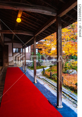 【京都風景】圓光寺　絶景の紅葉に思わず息をのむ美しさ 121086625