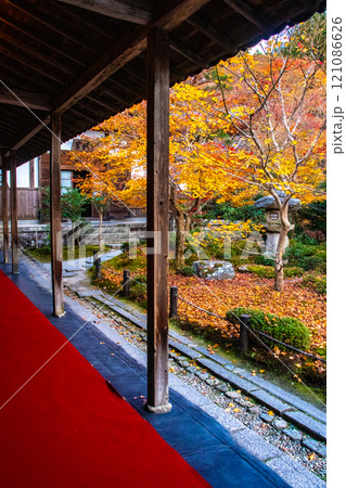 【京都風景】圓光寺 絶景の紅葉に思わず息をのむ美しさ 【京都風景】圓光寺 絶景の紅葉に思わず息をのむ美しさ 121086626