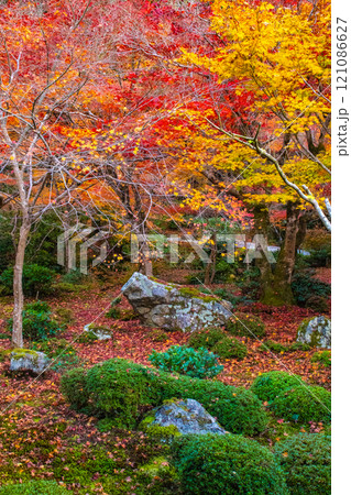 【京都風景】圓光寺 絶景の紅葉に思わず息をのむ美しさ 【京都風景】圓光寺 絶景の紅葉に思わず息をのむ美しさ 121086627