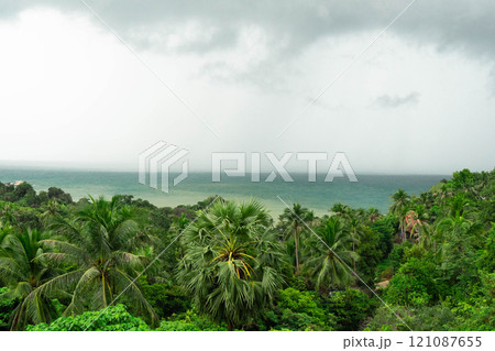 Enjoy the serene view of lush greenery meeting the ocean, creating a tranquil atmosphere. 121087655