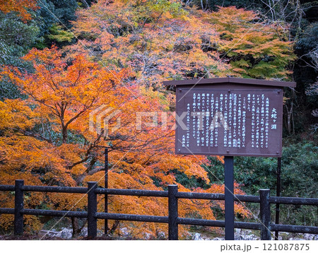 滋賀県多賀町の大瀧神社の秋景色と境内を流れる川の駒札 121087875