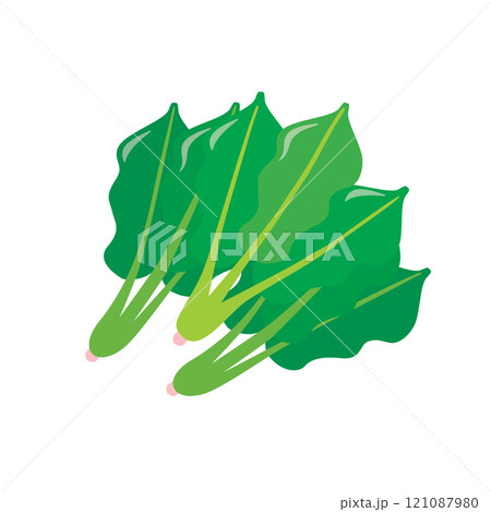 アイソメトリック_立体的でシンプルなほうれん草のイラスト アイソメトリック_立体的でシンプルなほうれん草のイラスト 121087980