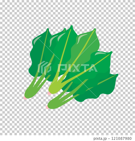 アイソメトリック_立体的でシンプルなほうれん草のイラスト アイソメトリック_立体的でシンプルなほうれん草のイラスト 121087980