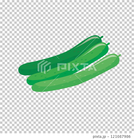 アイソメトリック_立体的でシンプルなきゅうりのイラスト 121087986