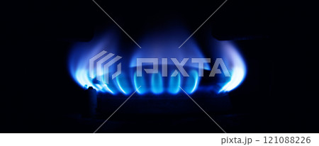 Gas stove burning in the kitchen, blue flames black background 121088226
