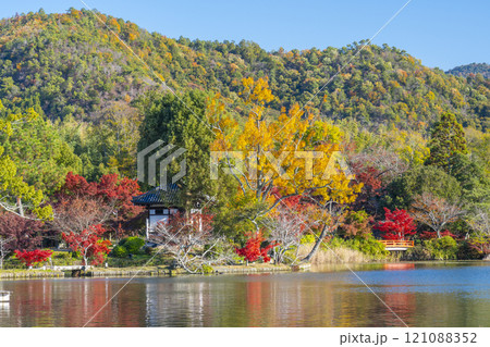 秋の京都 大覚寺 紅葉に包まれた大沢池 秋の京都 大覚寺 紅葉に包まれた大沢池 121088352