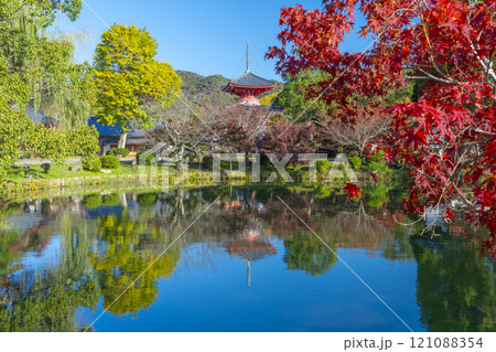 秋の京都　大覚寺　放生池に映る心経宝塔 121088354