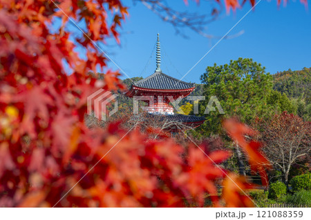 秋の京都　大覚寺　紅葉に包まれた心経宝塔 121088359