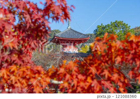 秋の京都 大覚寺 紅葉に包まれた心経宝塔 秋の京都 大覚寺 紅葉に包まれた心経宝塔 121088360
