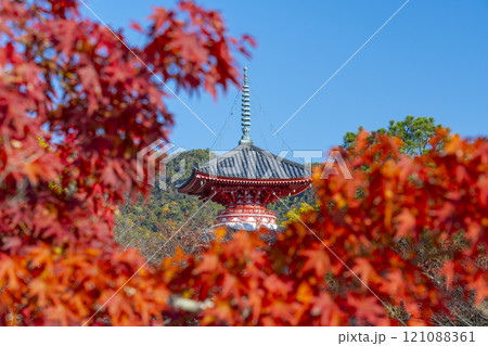 秋の京都　大覚寺　紅葉に包まれた心経宝塔 121088361