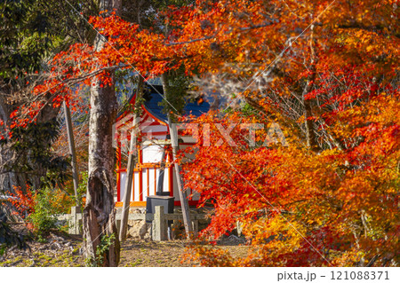 秋の京都 大覚寺 紅葉に包まれた天神社 秋の京都 大覚寺 紅葉に包まれた天神社 121088371