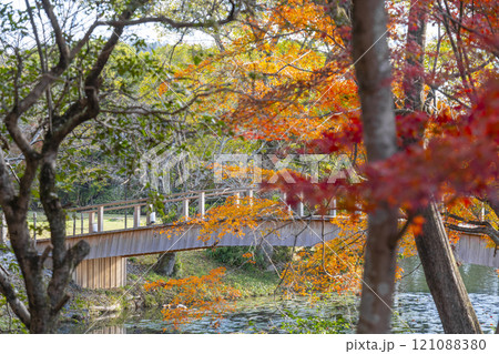 秋の京都 大覚寺 紅葉に包まれた名古曽橋 秋の京都 大覚寺 紅葉に包まれた名古曽橋 121088380