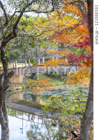 秋の京都 大覚寺 紅葉に包まれた名古曽橋 秋の京都 大覚寺 紅葉に包まれた名古曽橋 121088381