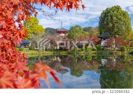 秋の京都　大覚寺　放生池に映る心経宝塔 121088382